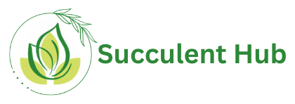 Succulent Hub India