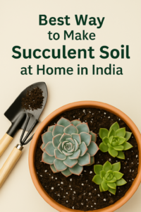 How to propagate succulents from cuttings and leaves