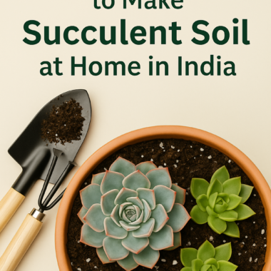 How to Make Succulent Soil at Home in India